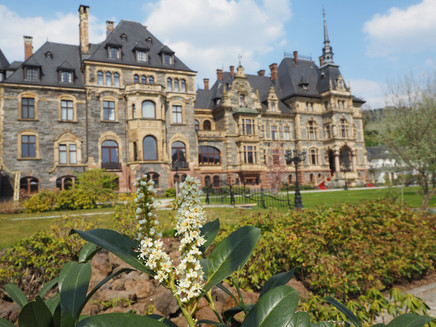 Detour to Lieser Castle